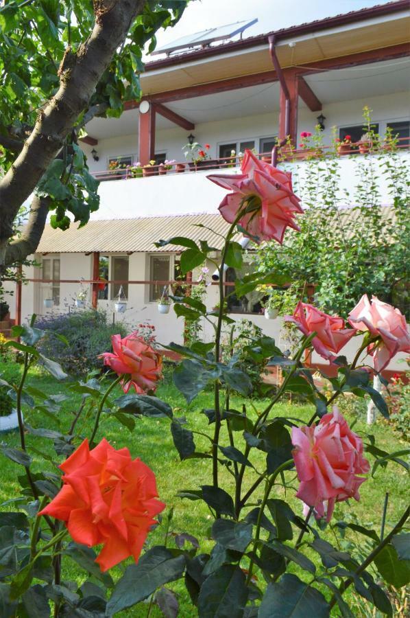 Hotel Casa Gia Costinesti Exterior foto